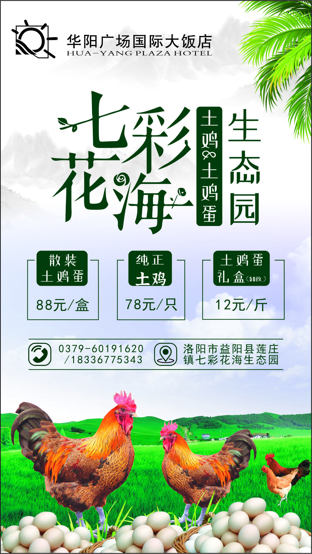 七彩花海生态园土鸡土鸡蛋海报设计图3