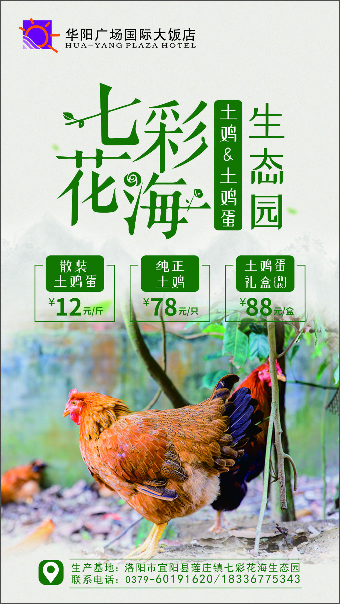 七彩花海生态园土鸡土鸡蛋海报设计图1