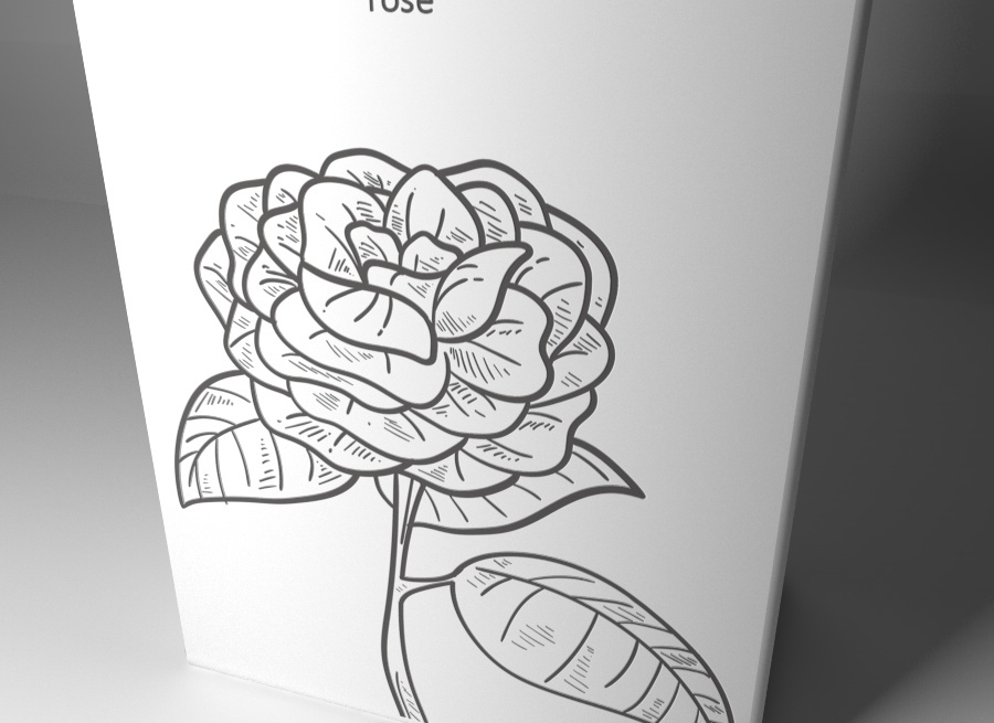 玫瑰酒包装设计图7