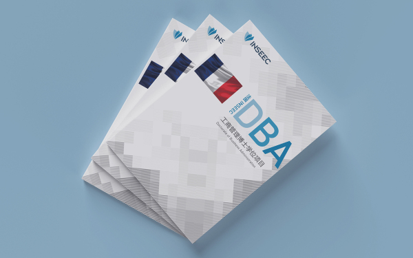 法国DBA工商管理博士学位项目画册设计