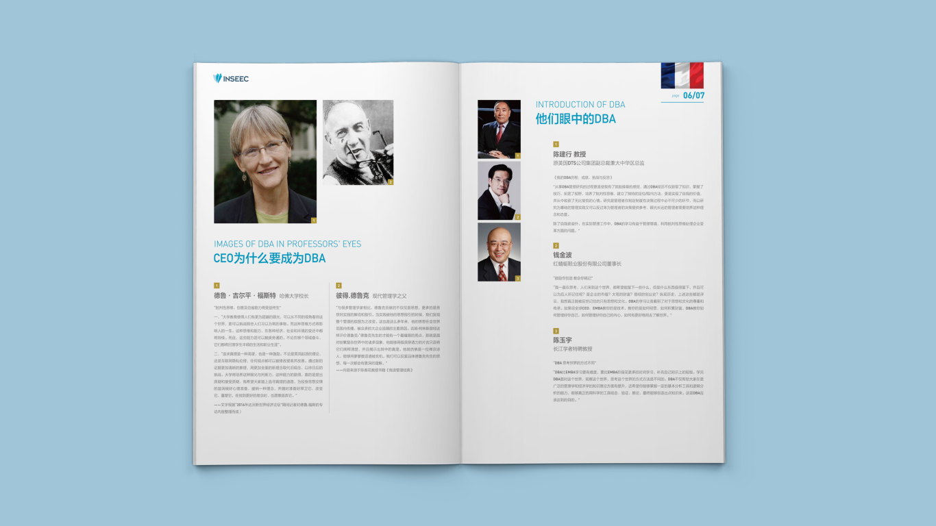 法国DBA工商管理博士学位项目画册设计图4