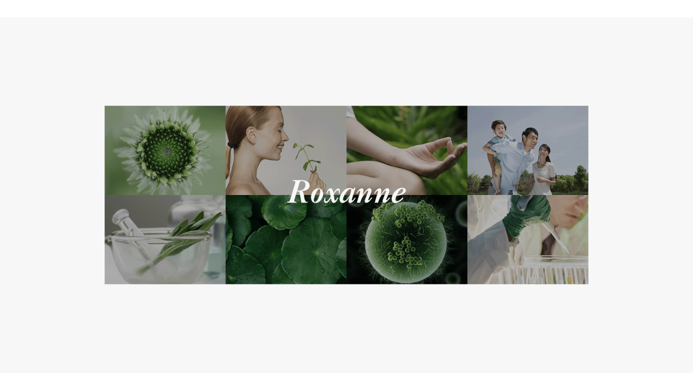 ROXANNE美容品牌设计图3