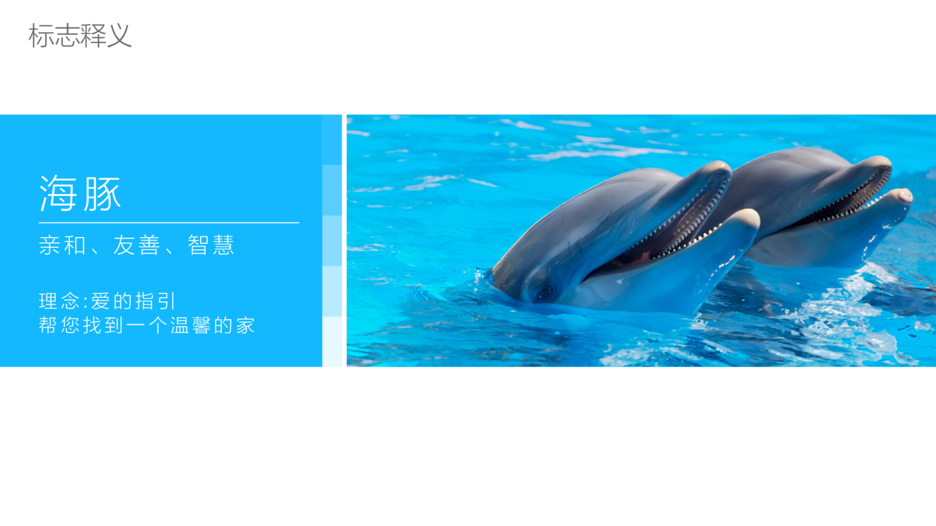 海豚新房logo设计图7