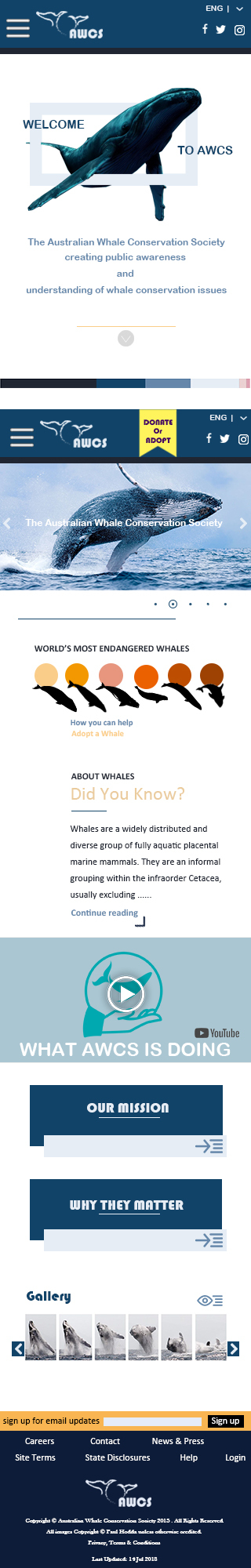 鲸鱼保护协会网站logo redesign图1