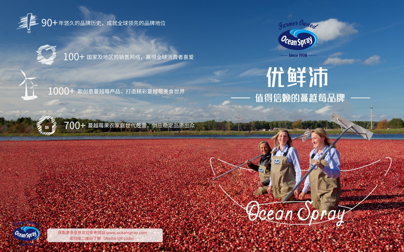 OceanSpray蔓越莓菜谱宣传折页图5