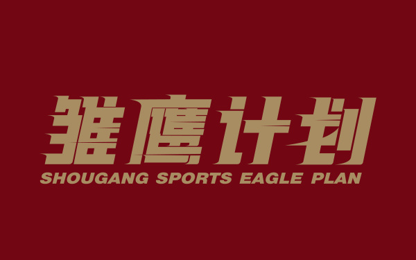 北京首钢体育雏鹰计划活动标志设计