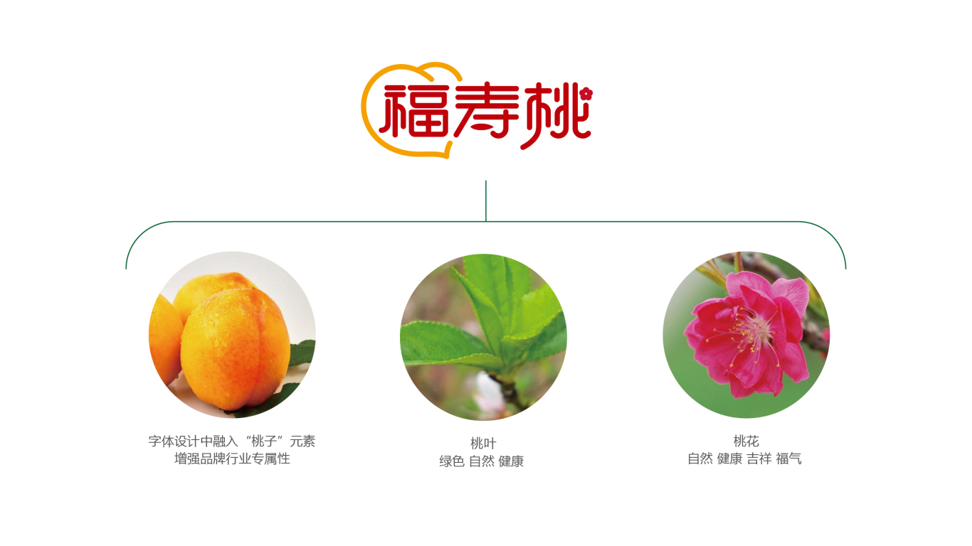 福寿桃品牌LOGO设计中标图2