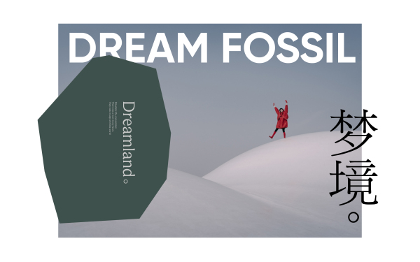 梦的化石 VI 设计