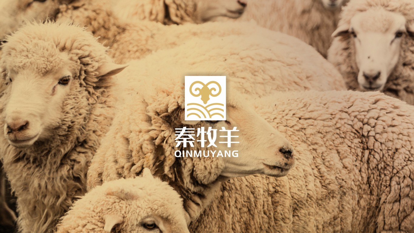 秦牧羊纺织品牌LOGO设计中标图1