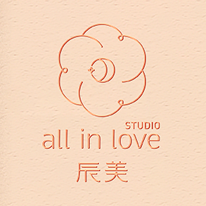 辰美studio-logo设计