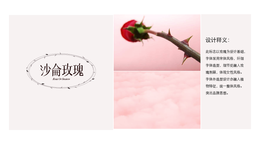 沙仑玫瑰女性护肤产品logo设计图2