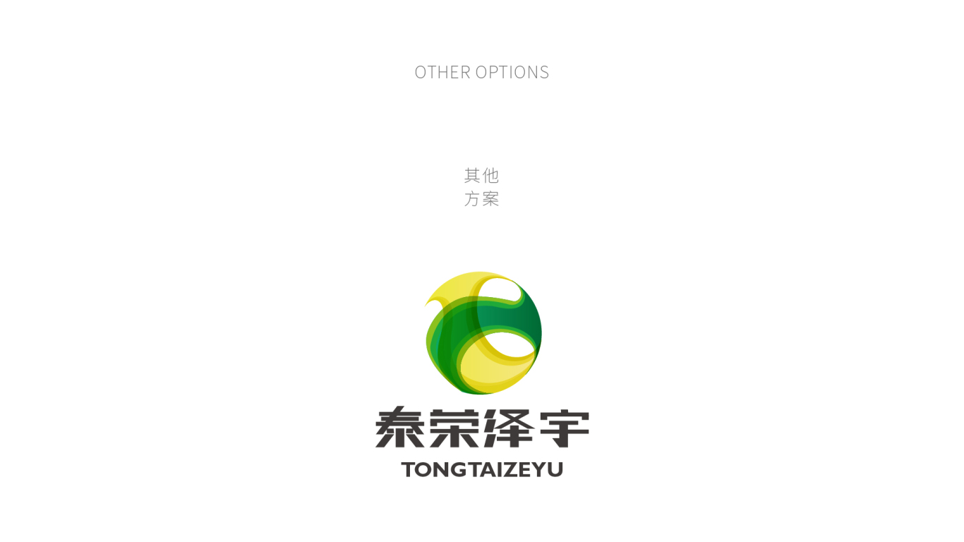 泰荣泽宇logo设计/生物科技logo设计/大健康logo设计图3