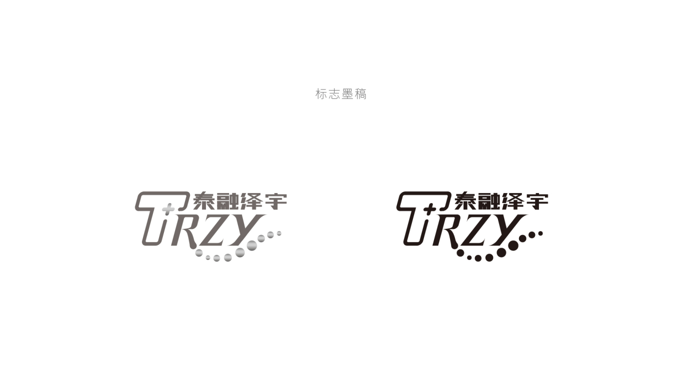 泰荣泽宇logo设计/生物科技logo设计/大健康logo设计图11
