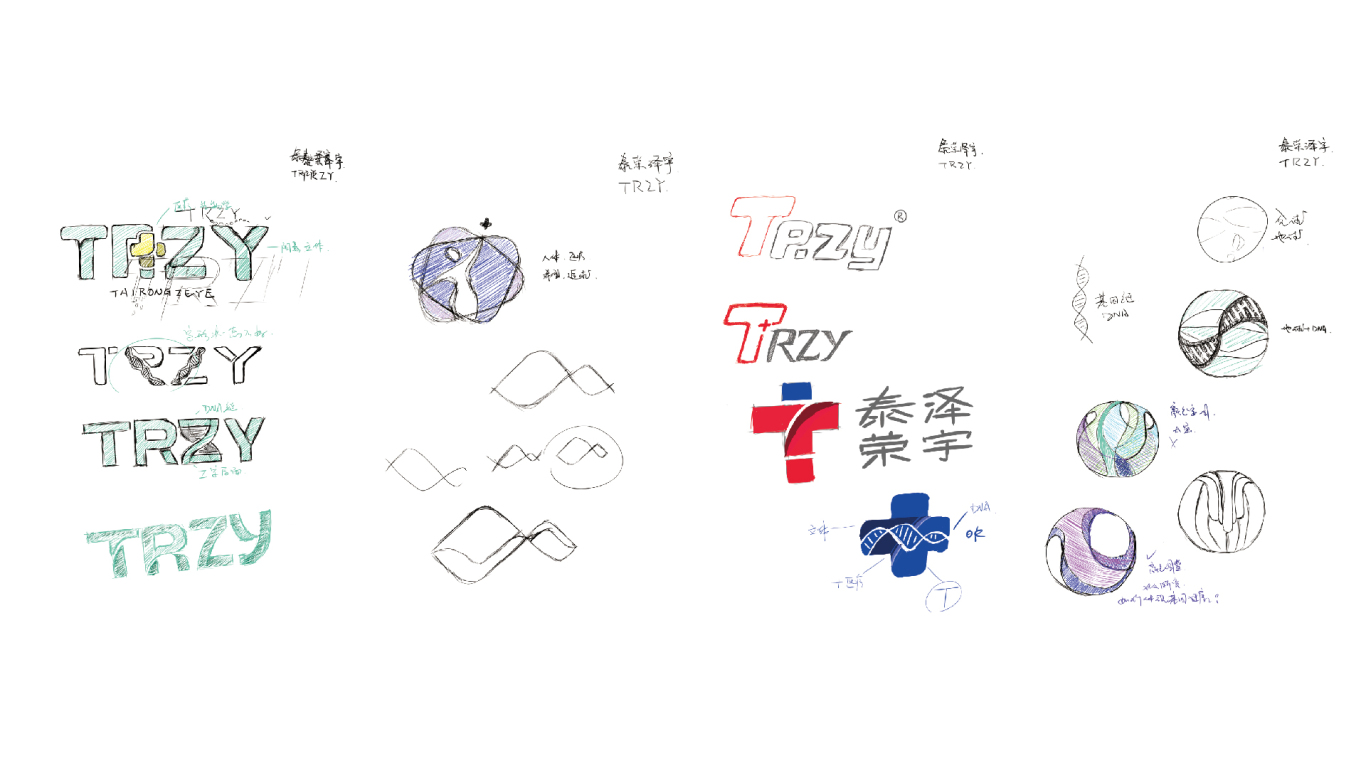 泰荣泽宇logo设计/生物科技logo设计/大健康logo设计图7