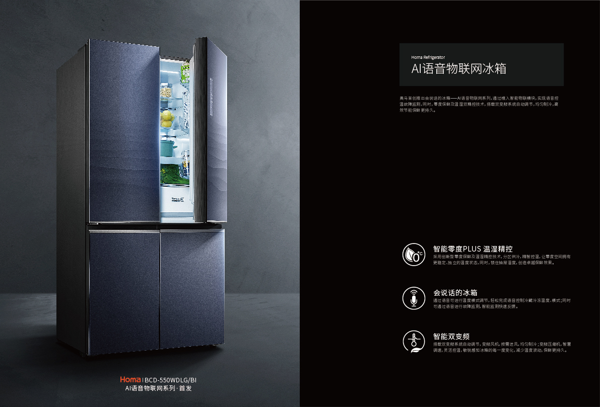2020年奥马冰箱产品手册设计-高端版图12