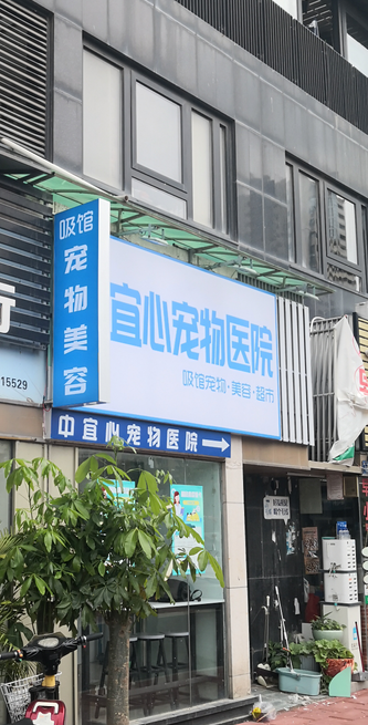 宠物店门头设计图4