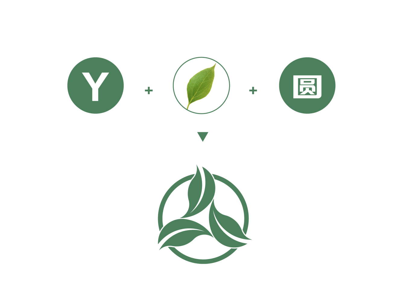 葉綠芝生物科技（中山）有限公司標志設計圖3