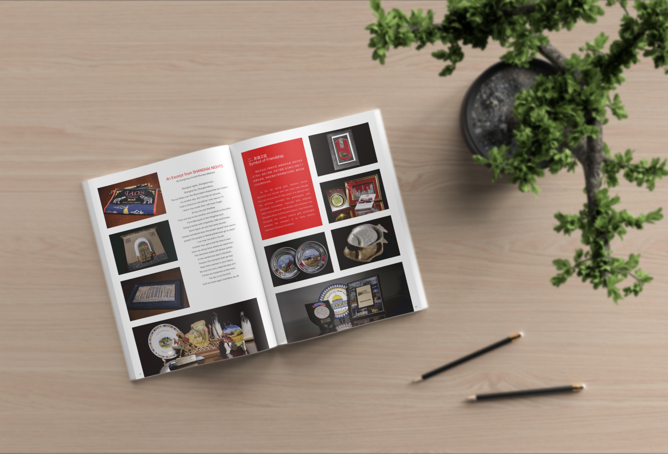 大學教育周年紀念冊宣傳冊畫冊書裝雜志設計圖21