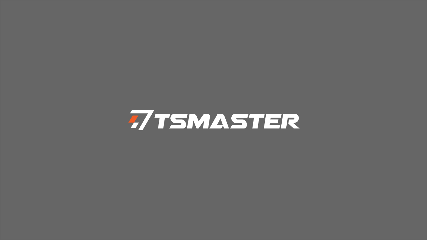 TSMaster系统软件品牌LOGO设计中标图0