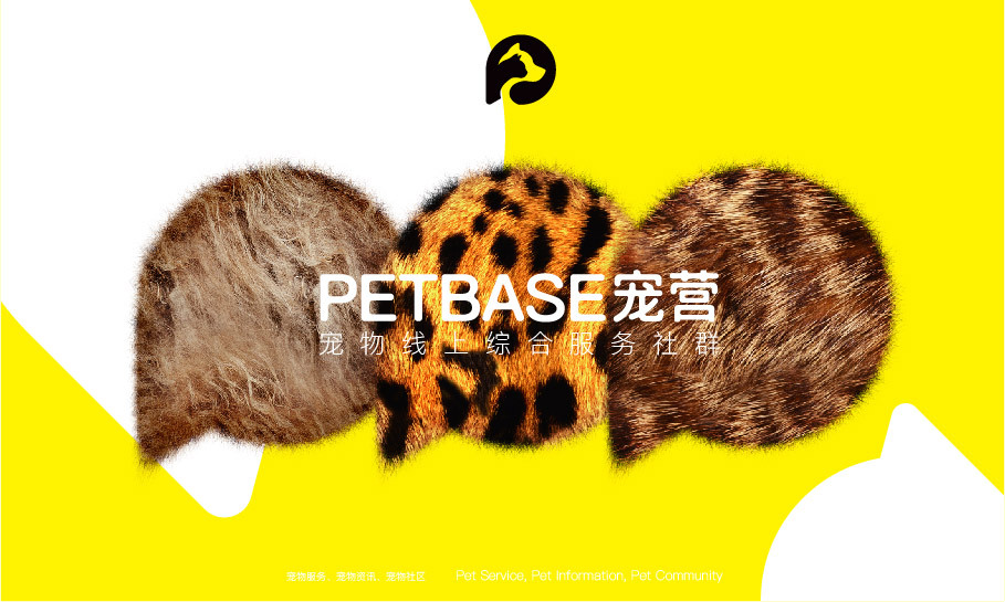 PETBASE宠营-宠物线上综合服务社群-品牌设计图2