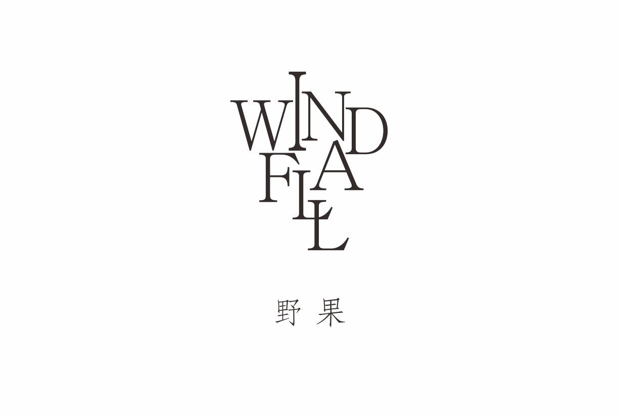 windfall野果logo设计图0