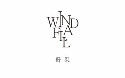 windfall野果logo設計