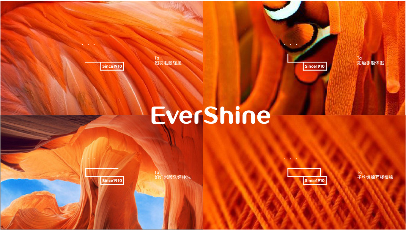 evershine 毛巾 logo/vi图1