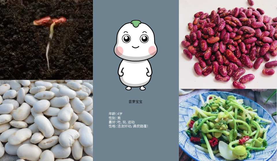 扎明娜健康蕓豆人品牌吉祥物設計中標圖0
