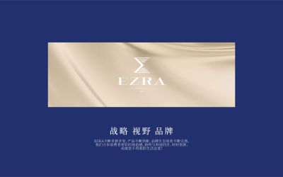 EZRA电子企业品牌形象设计