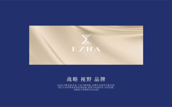 EZRA电子企业品牌形象设计