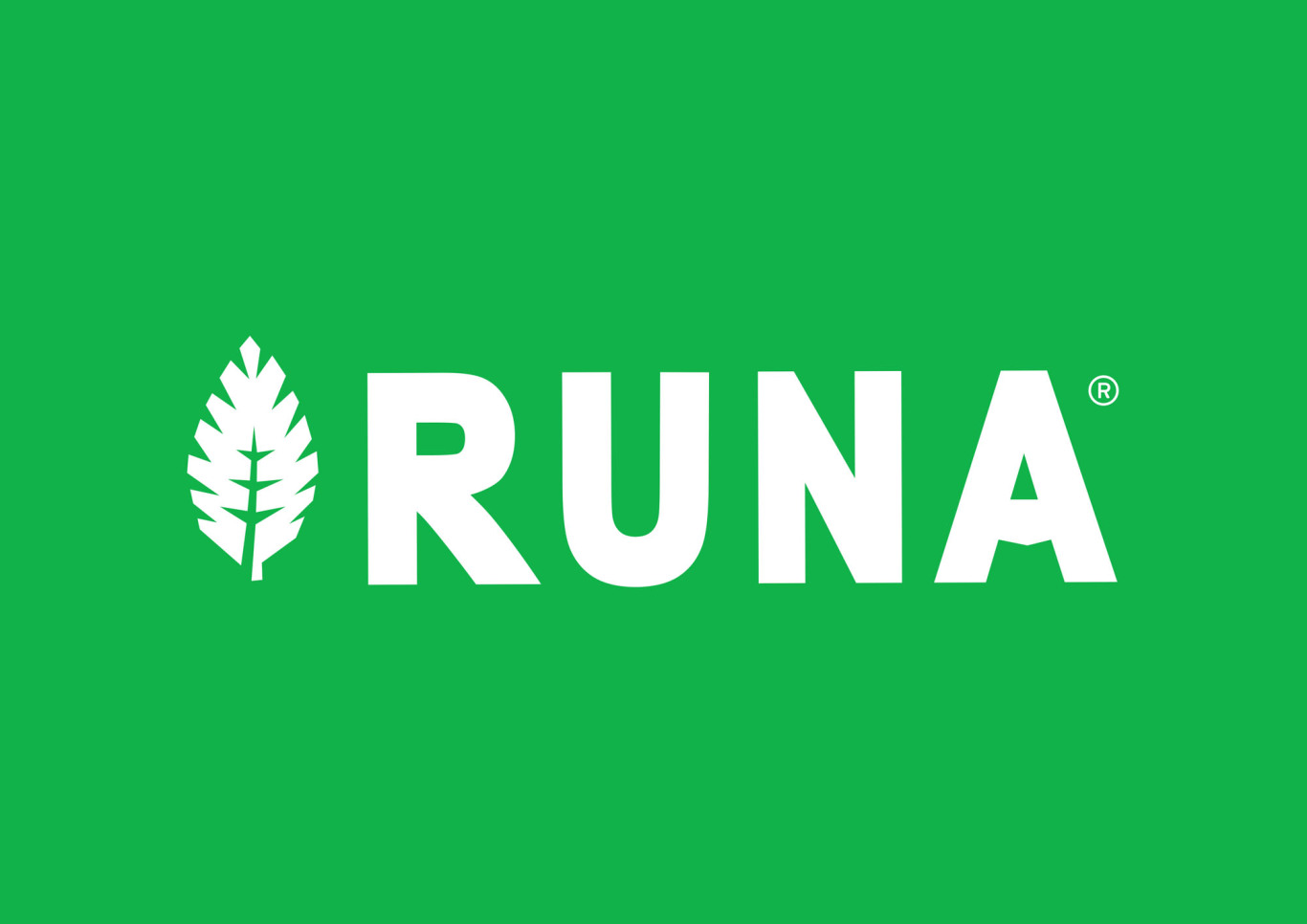 RUNA Clean Energy 品牌形象和包装设计图0