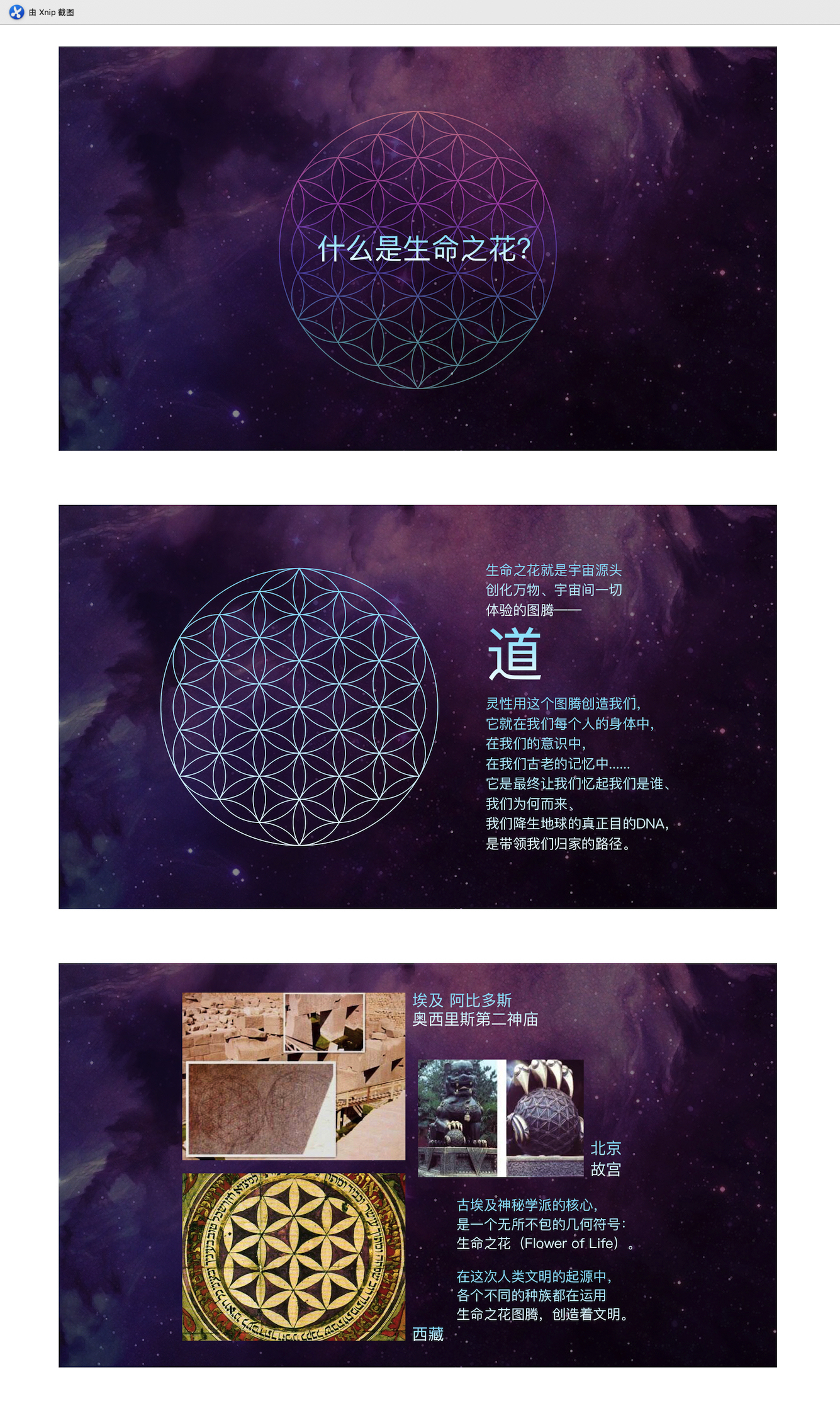 深圳市光文明教育科技发展有限公司品牌logo图1