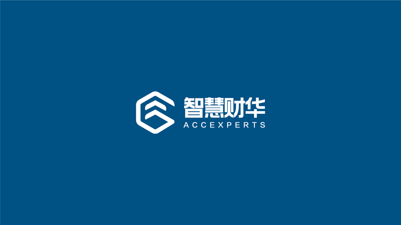 智慧财华财务咨询机构logo设计图3