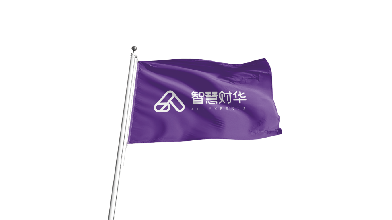 智慧财华财务咨询机构logo设计图53