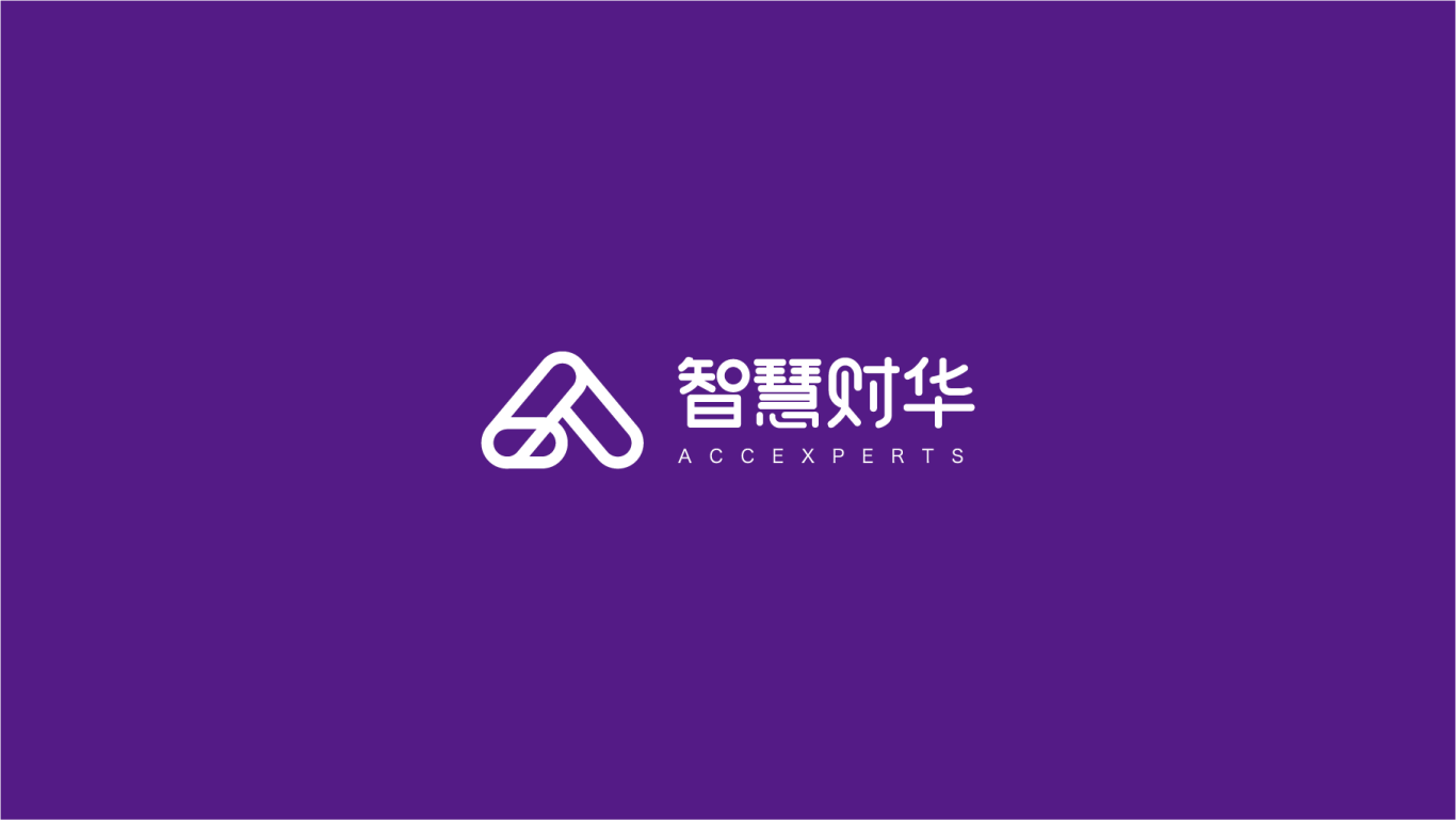 智慧财华财务咨询机构logo设计图45