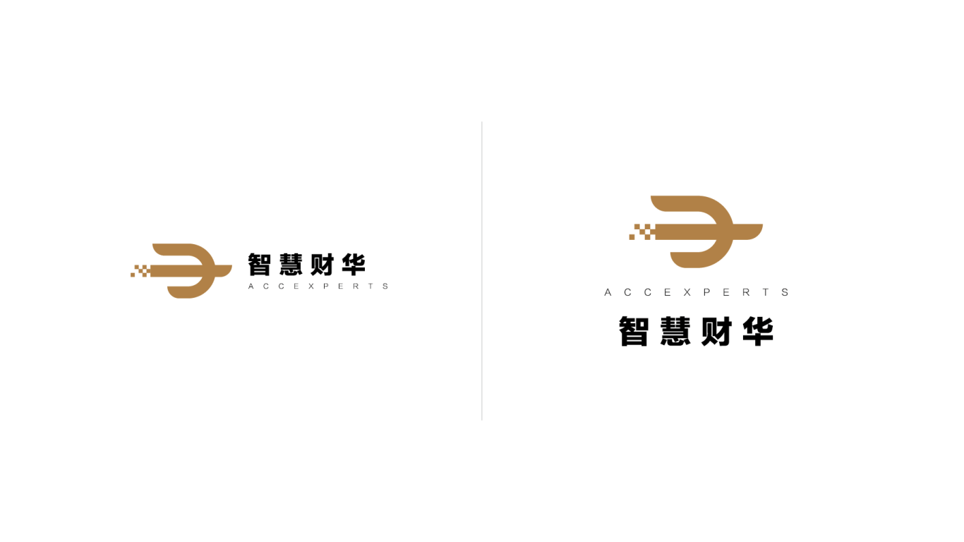 智慧财华财务咨询机构logo设计图74