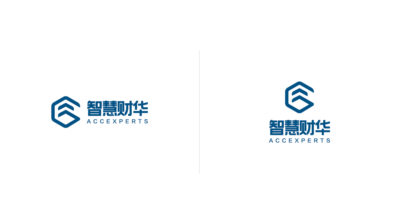 智慧财华财务咨询机构logo设计图4