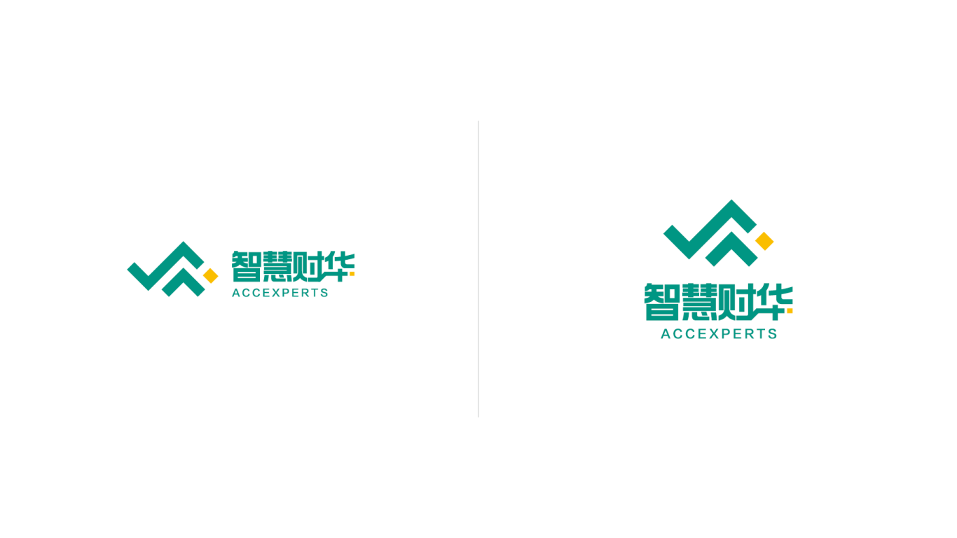 智慧财华财务咨询机构logo设计图18