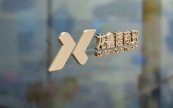 龙鑫商贸logo设计