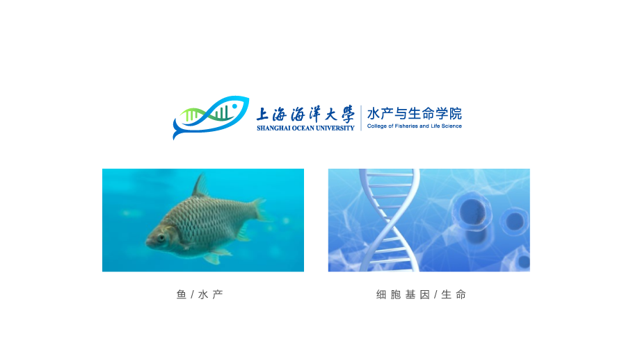 上海海洋大学水产与生命学院LOGO设计中标图0