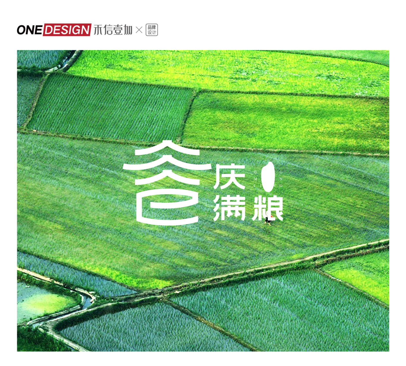 重慶《慶滿糧》農業科技發展有限公司LOGO設計圖0