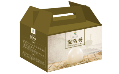 鸵鸟蛋包装盒
