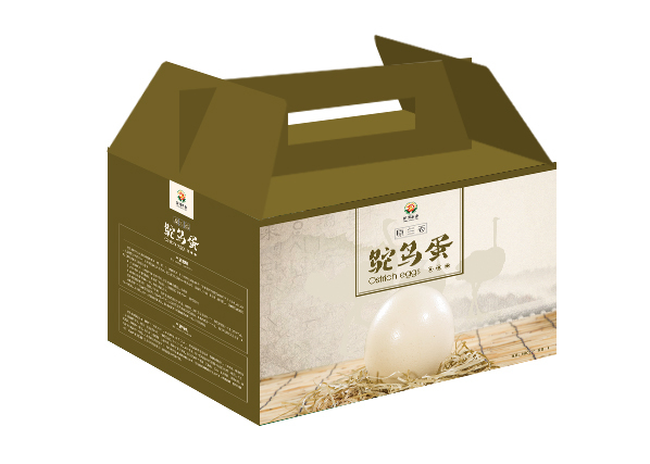鸵鸟蛋包装盒