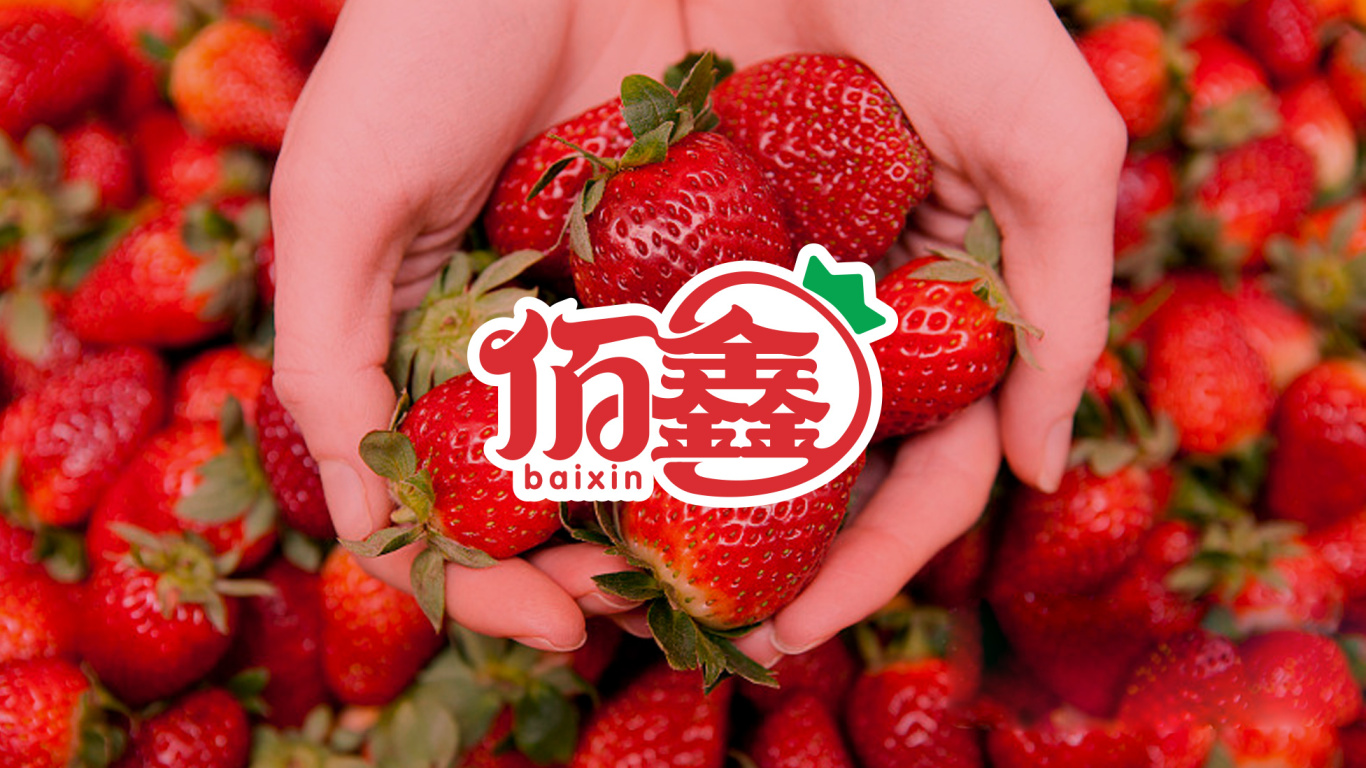 佰鑫草莓无土盆栽种植品牌LOGO设计中标图2
