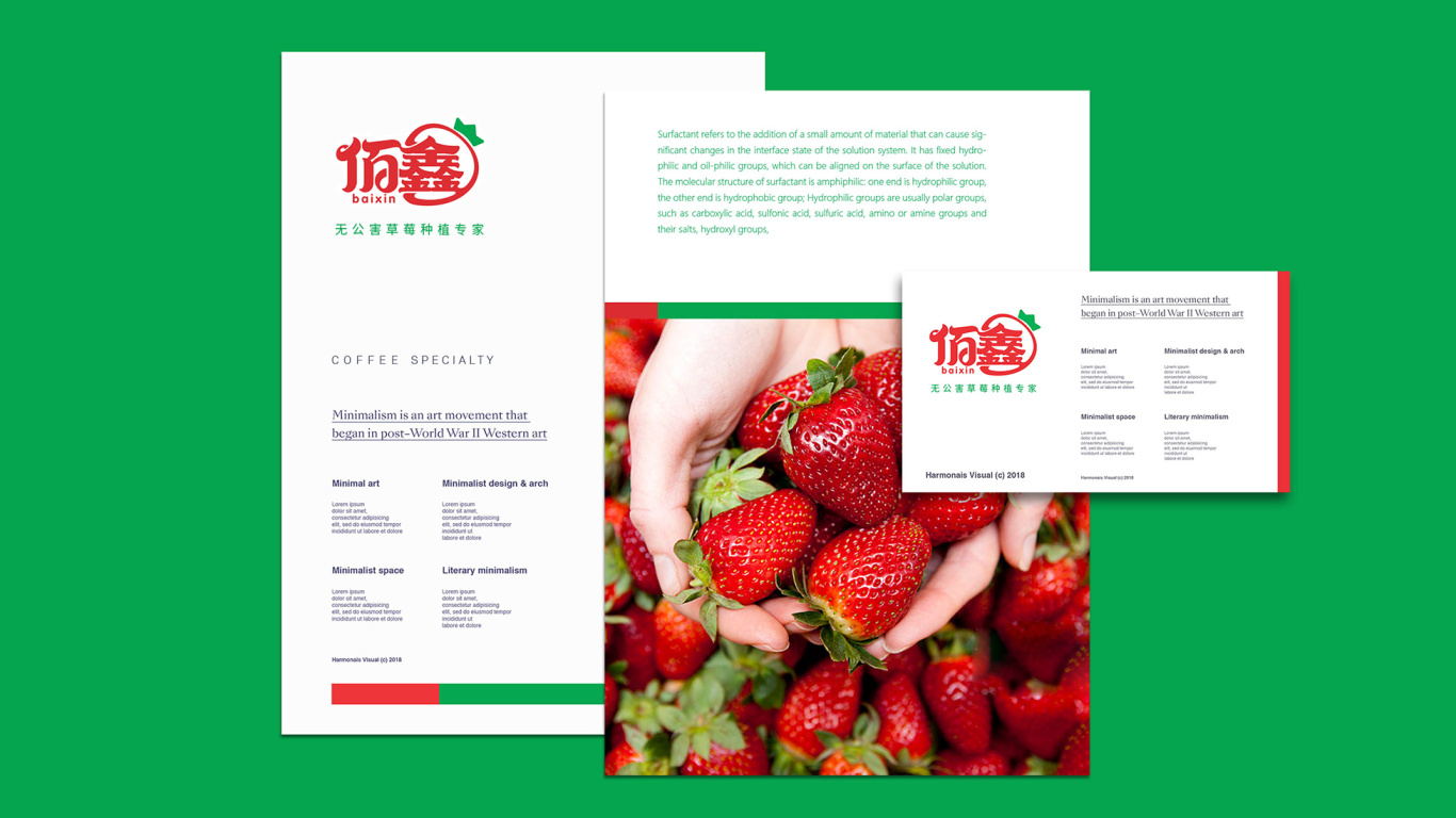佰鑫草莓无土盆栽种植品牌LOGO设计中标图4