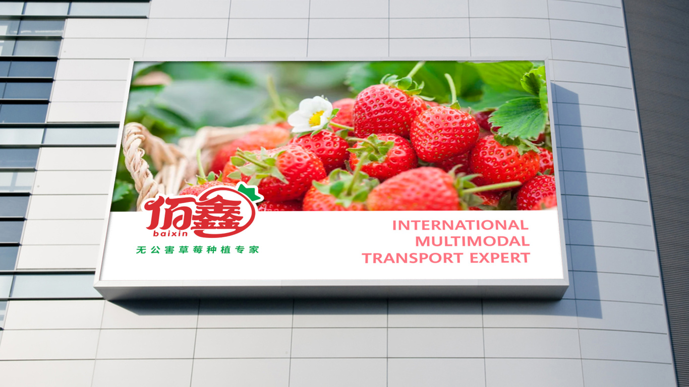 佰鑫草莓无土盆栽种植品牌LOGO设计中标图9