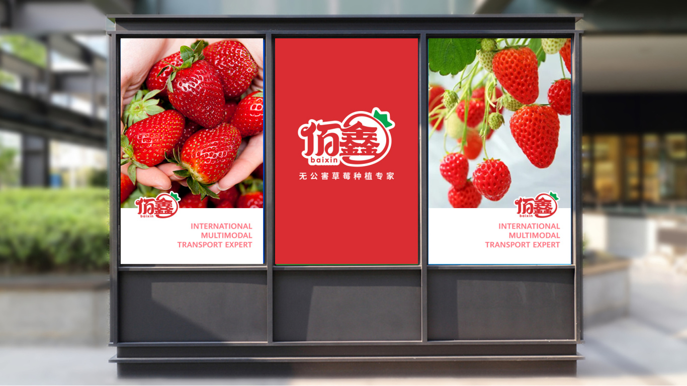 佰鑫草莓无土盆栽种植品牌LOGO设计中标图8
