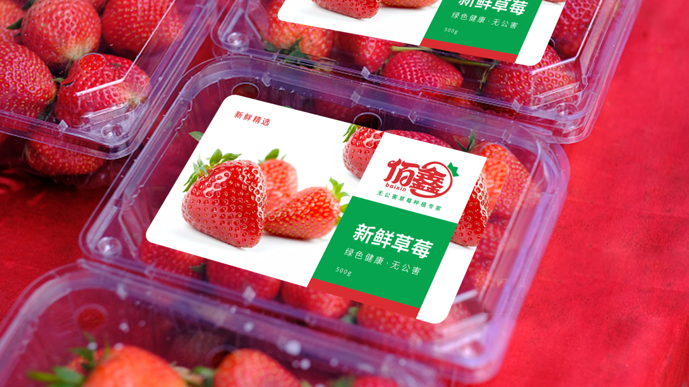 佰鑫草莓无土盆栽种植品牌LOGO设计中标图5