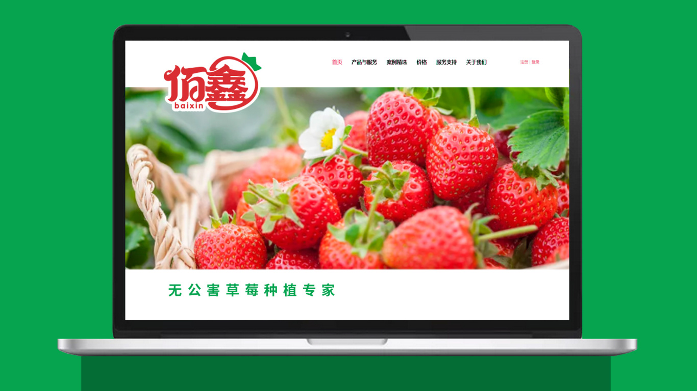 佰鑫草莓无土盆栽种植品牌LOGO设计中标图6