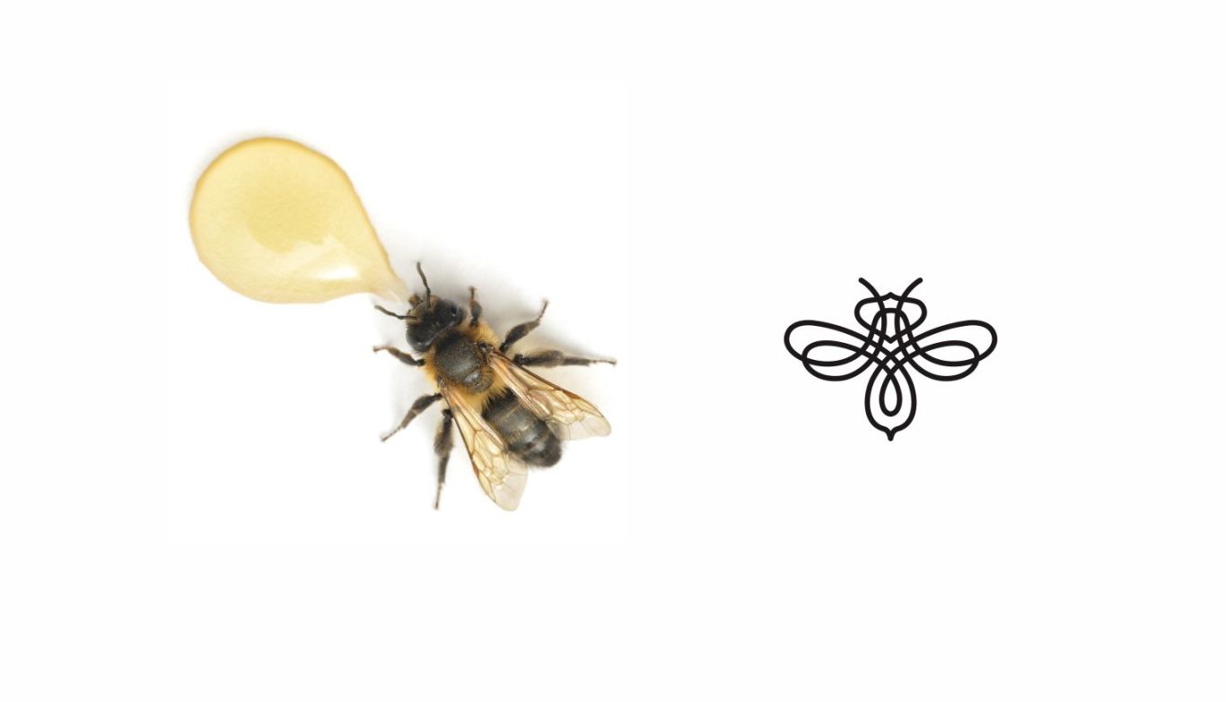 蜂蜜logo图3